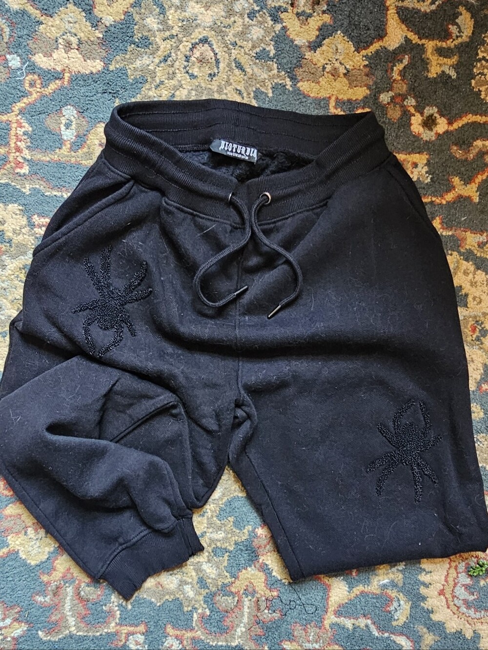 Disturbia Huntsman Spider Black Sweatpants with Embroidered Spider Detail